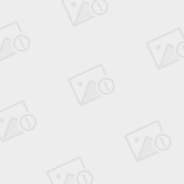 一只熊吃掉了40磅冰淇淋后昏迷了两天